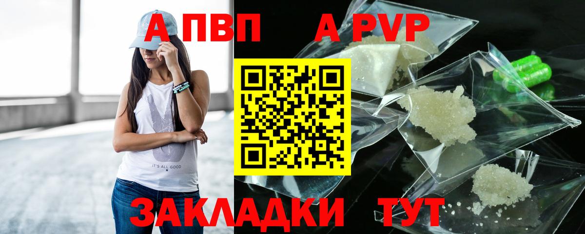 A PVP СК КРИС Сыктывкар