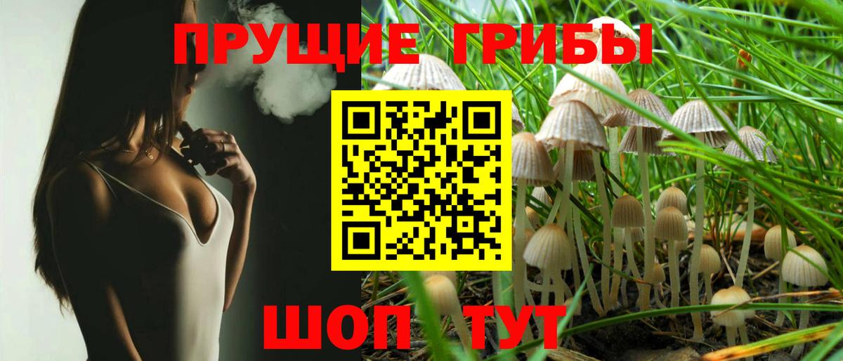 Галлюциногенные грибы мухоморы Сыктывкар